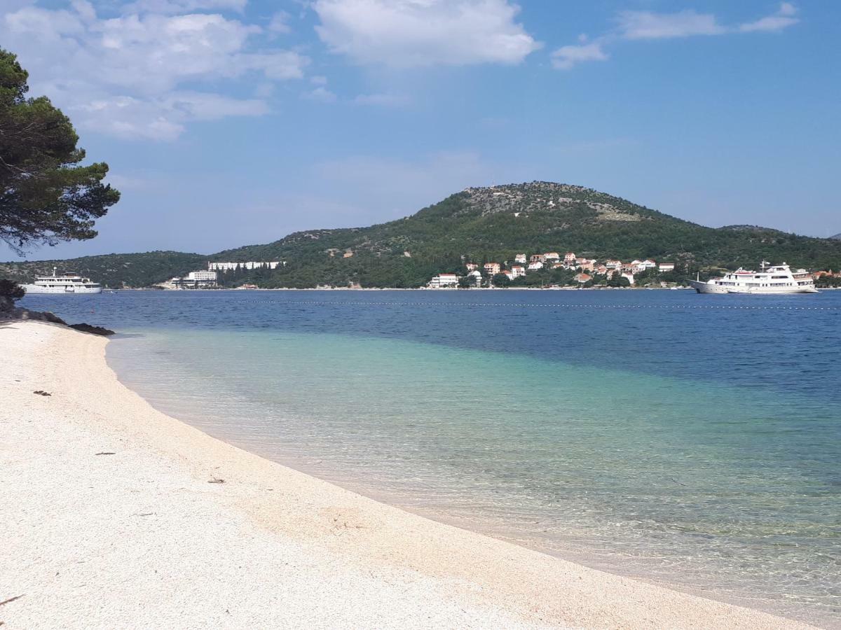 Apartments Sisevic - Comfort Apartments With Balconies And Sea View Slano Esterno foto